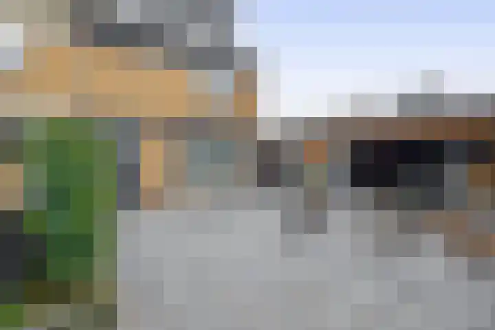 Hazeveld 34 Zevenhuizen thumbnail 28