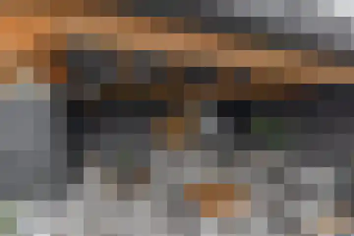 Hazeveld 34 Zevenhuizen thumbnail 30
