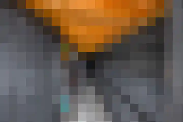 Hazeveld 34 Zevenhuizen thumbnail 31