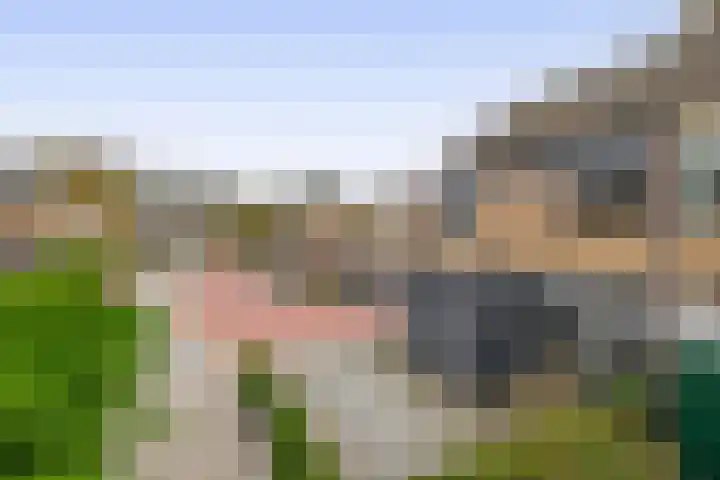 Hazeveld 34 Zevenhuizen thumbnail 32