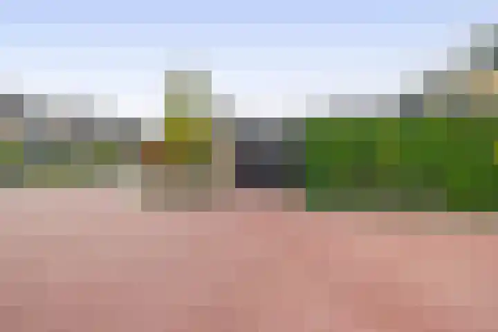 Hazeveld 34 Zevenhuizen thumbnail 33
