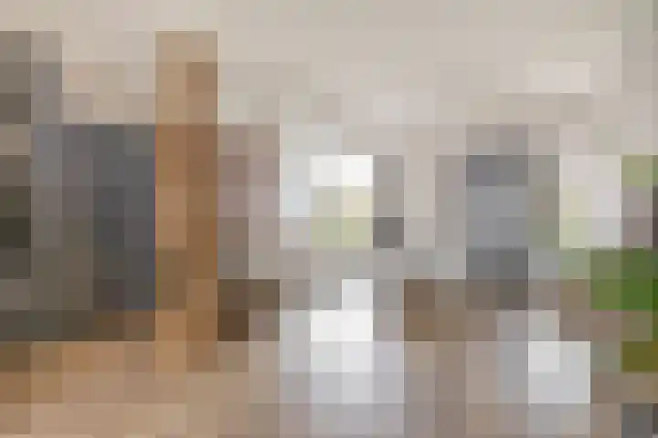 Hazeveld 34 Zevenhuizen thumbnail 6