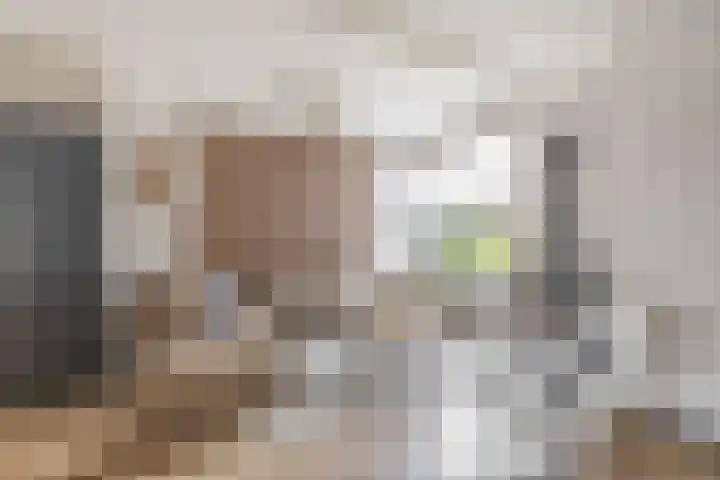 Hazeveld 34 Zevenhuizen thumbnail 7
