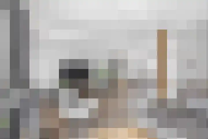 Hazeveld 34 Zevenhuizen thumbnail 8