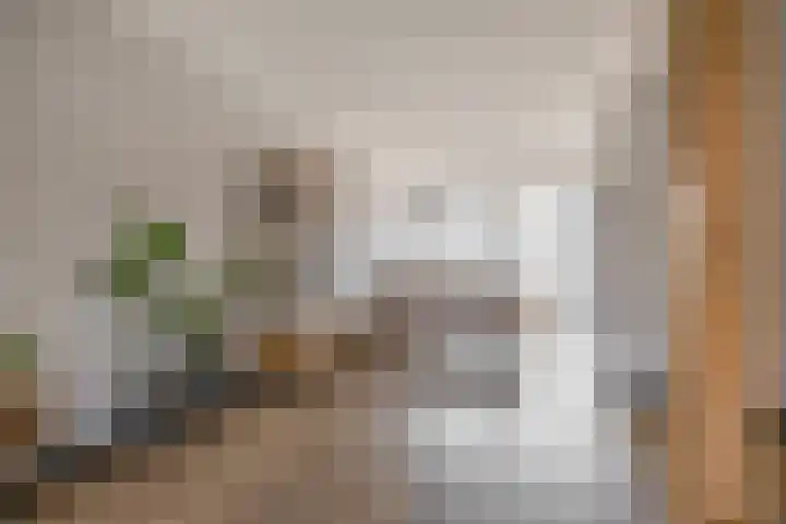 Hazeveld 34 Zevenhuizen thumbnail 9