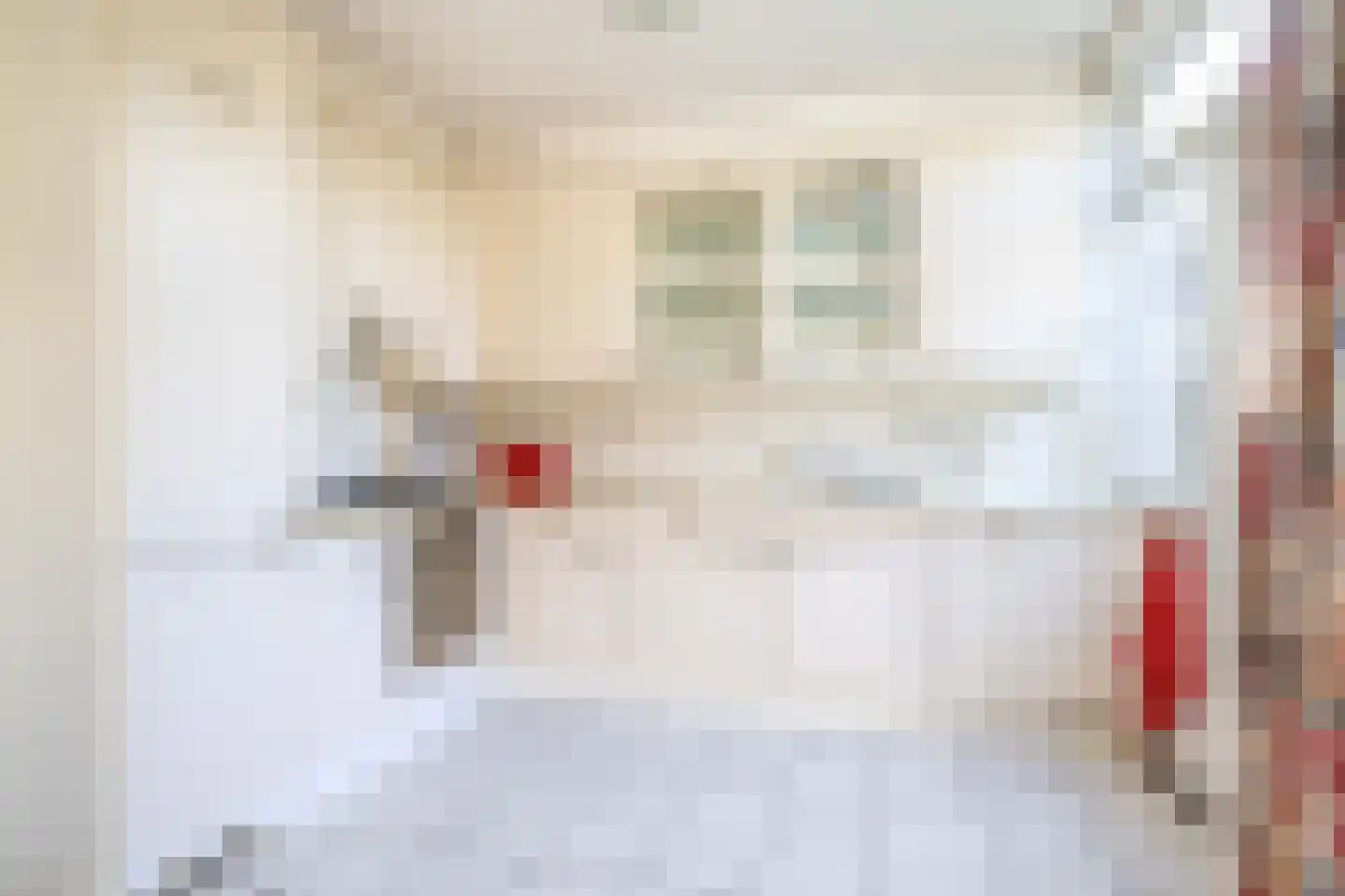 Hazeveld 5 Zevenhuizen thumbnail 14