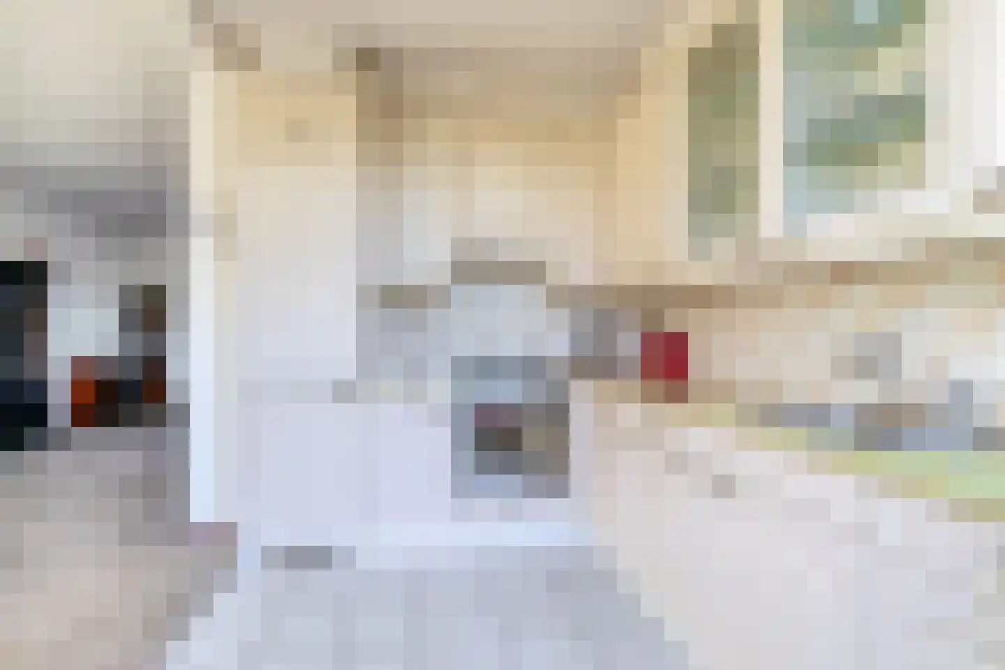 Hazeveld 5 Zevenhuizen thumbnail 15