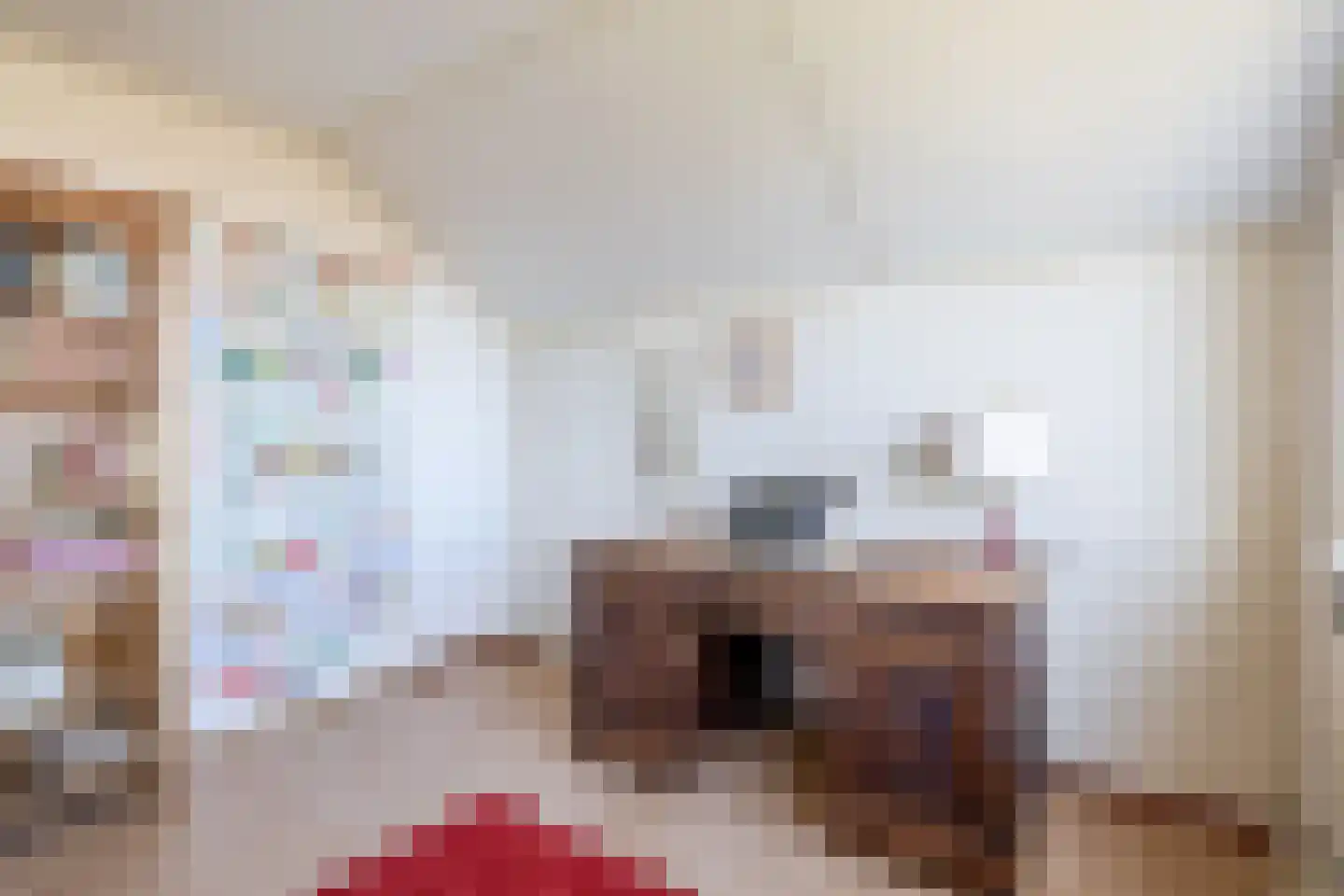 Hazeveld 5 Zevenhuizen thumbnail 33