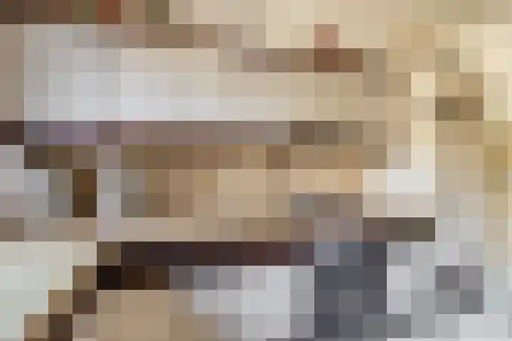 Hazeveld 55 Zevenhuizen thumbnail 11