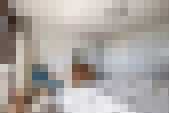 Hazeveld 55 Zevenhuizen thumbnail 14