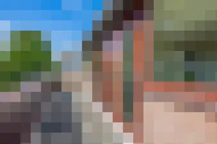 Hazeveld 55 Zevenhuizen thumbnail 15