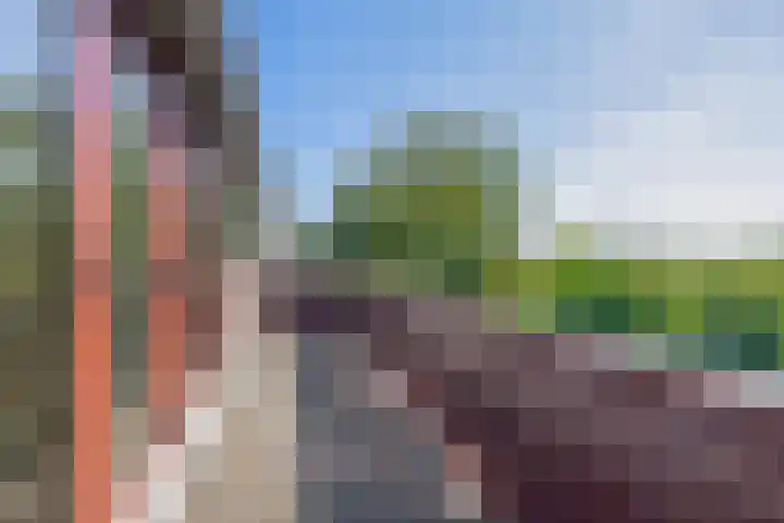 Hazeveld 55 Zevenhuizen thumbnail 16