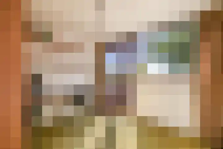 Hazeveld 55 Zevenhuizen thumbnail 17