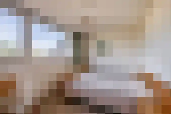 Hazeveld 55 Zevenhuizen thumbnail 18