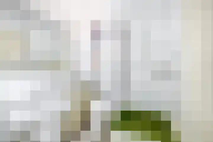 Hazeveld 55 Zevenhuizen thumbnail 19