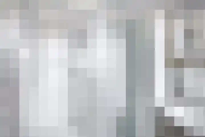 Hazeveld 55 Zevenhuizen thumbnail 20