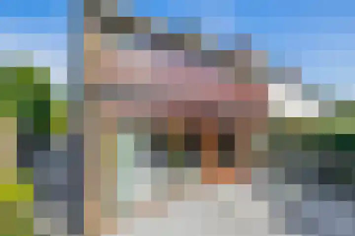 Hazeveld 55 Zevenhuizen thumbnail 25