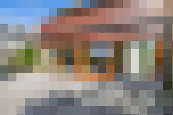 Hazeveld 55 Zevenhuizen thumbnail 26