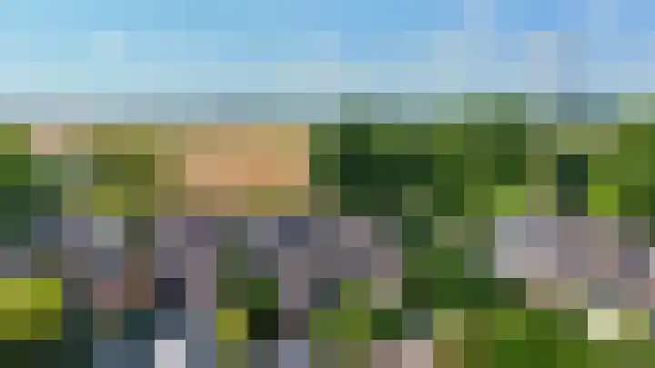 Hazeveld 55 Zevenhuizen thumbnail 29