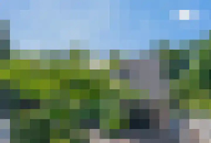 Hazeveld 55 Zevenhuizen thumbnail 30