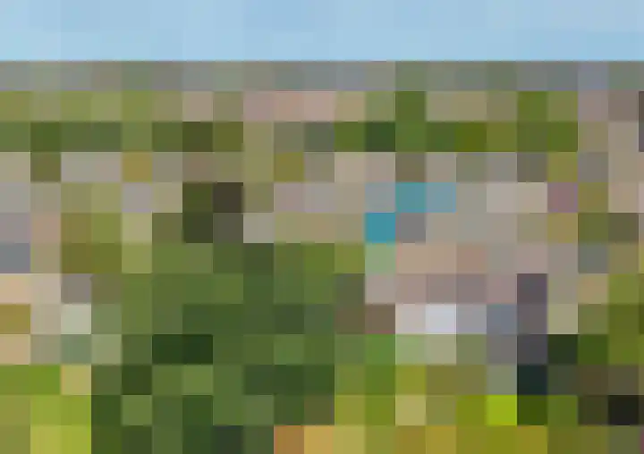 Hazeveld 55 Zevenhuizen thumbnail 31
