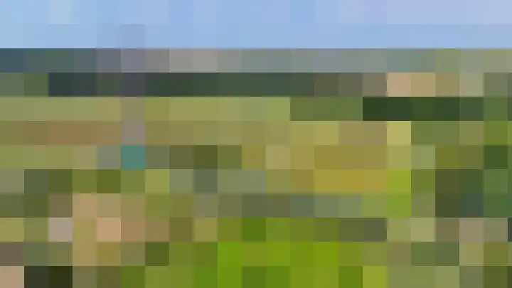 Hazeveld 55 Zevenhuizen thumbnail 32