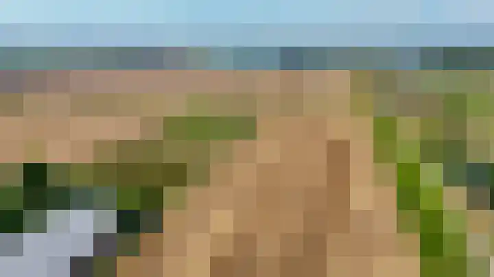 Hazeveld 55 Zevenhuizen thumbnail 33