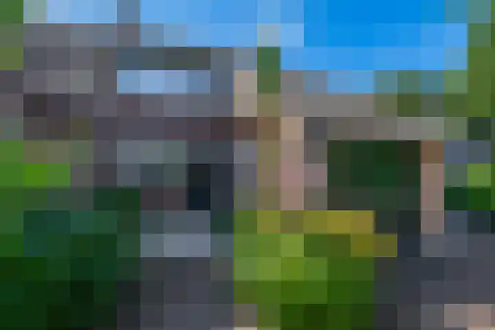 Hazeveld 55 Zevenhuizen thumbnail 37