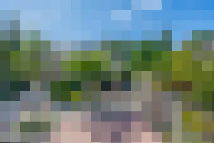 Hazeveld 55 Zevenhuizen thumbnail 4