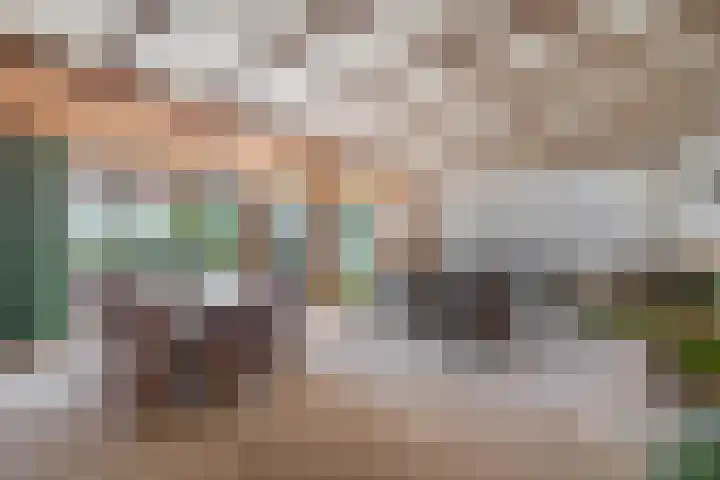Hazeveld 55 Zevenhuizen thumbnail 8