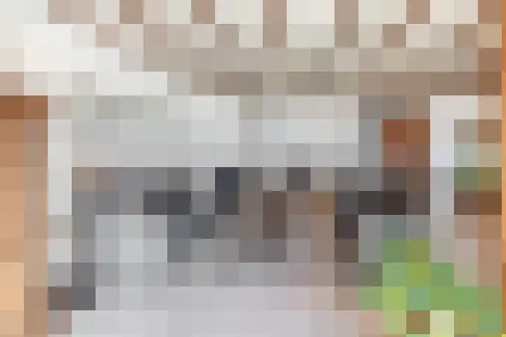 Hazeveld 55 Zevenhuizen thumbnail 9