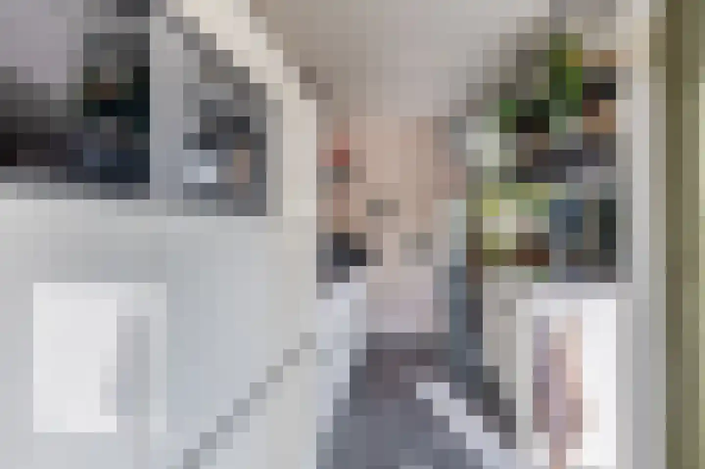 Hazewater 11 Zoetermeer thumbnail 16