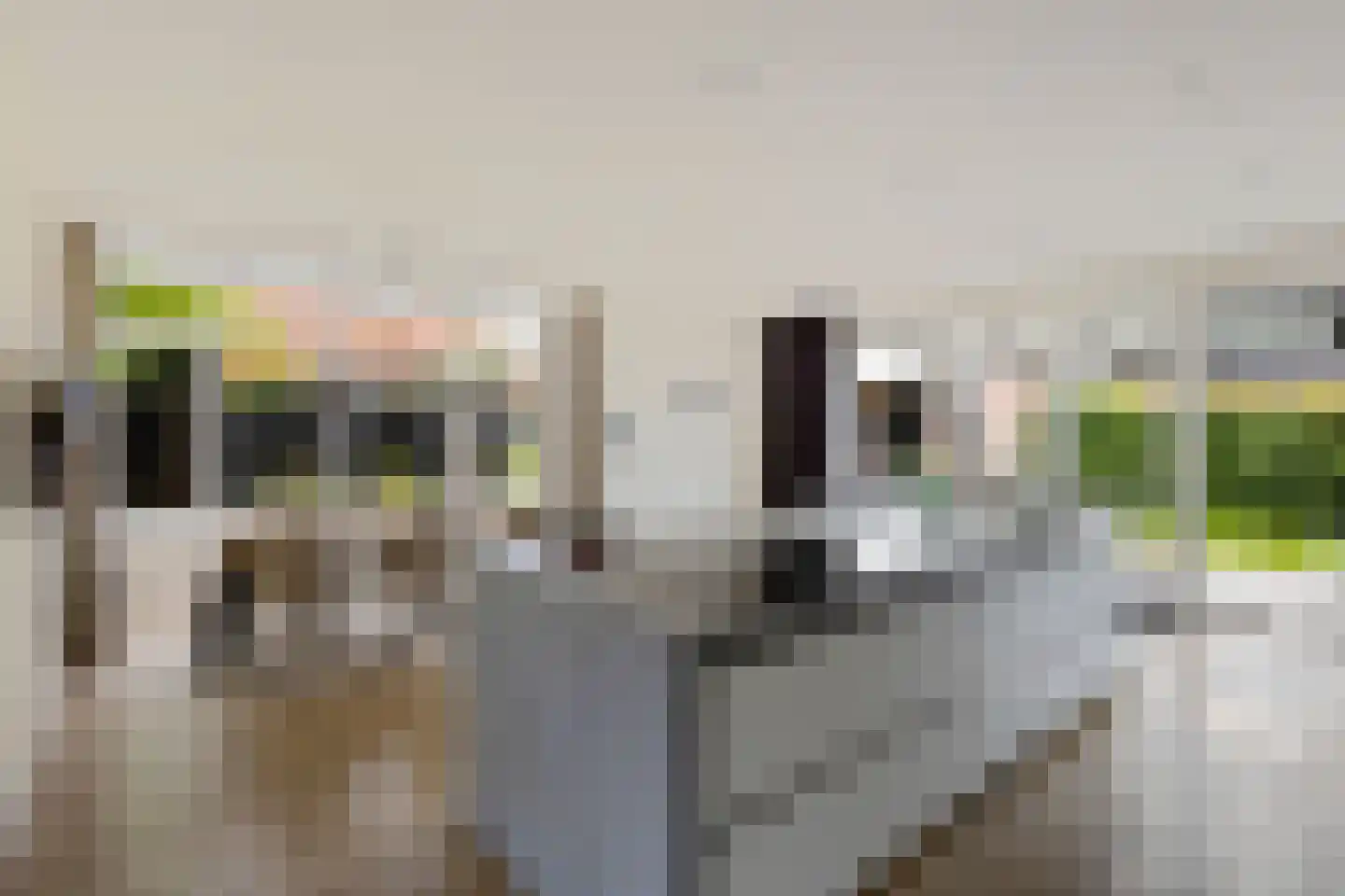 Hazeweel 12 Zwaag thumbnail 11