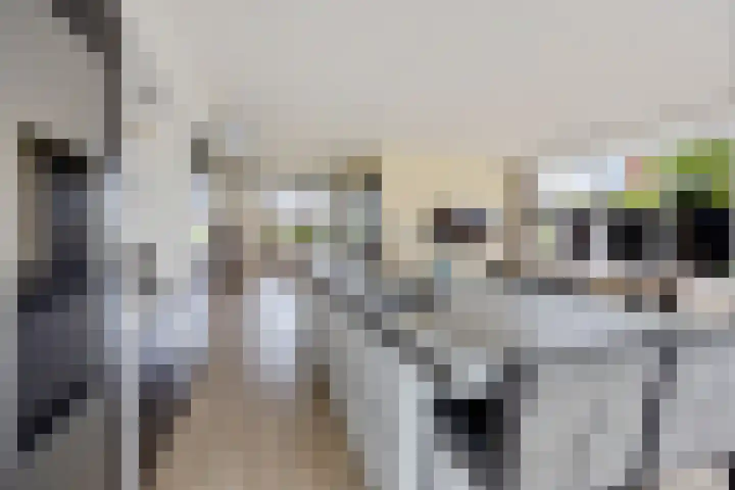 Hazeweel 12 Zwaag thumbnail 16