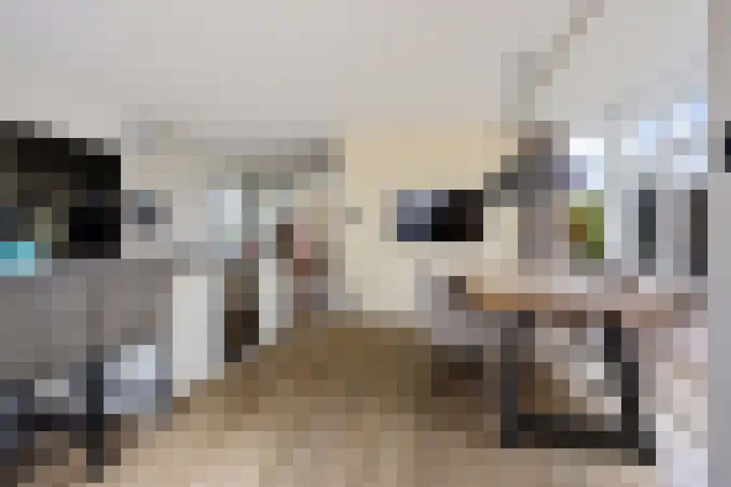 Hazeweel 12 Zwaag thumbnail 17