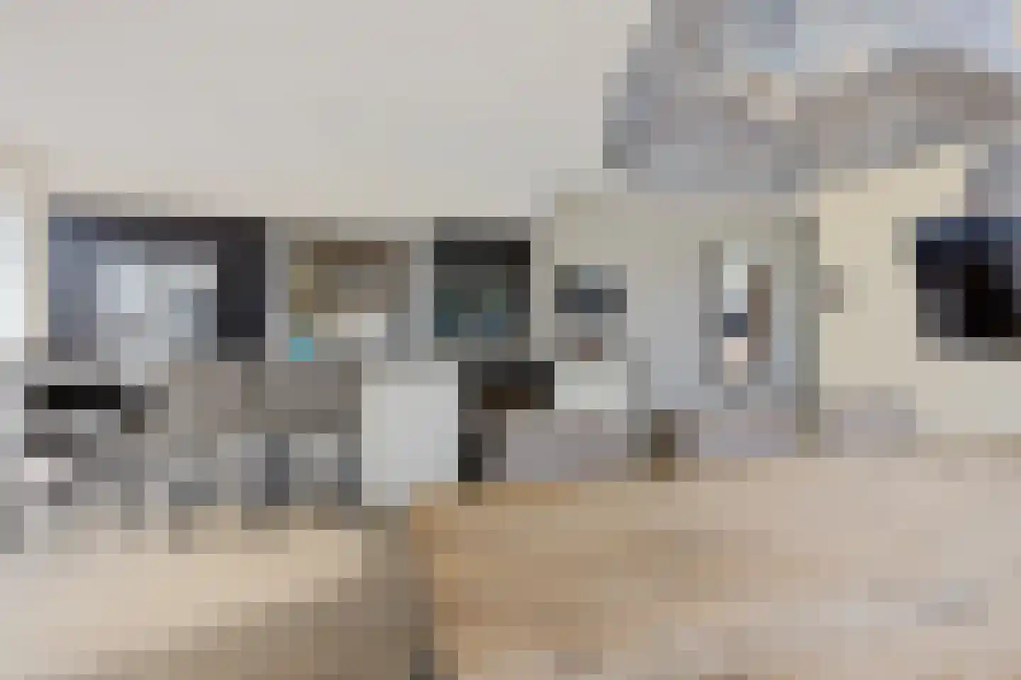 Hazeweel 12 Zwaag thumbnail 18