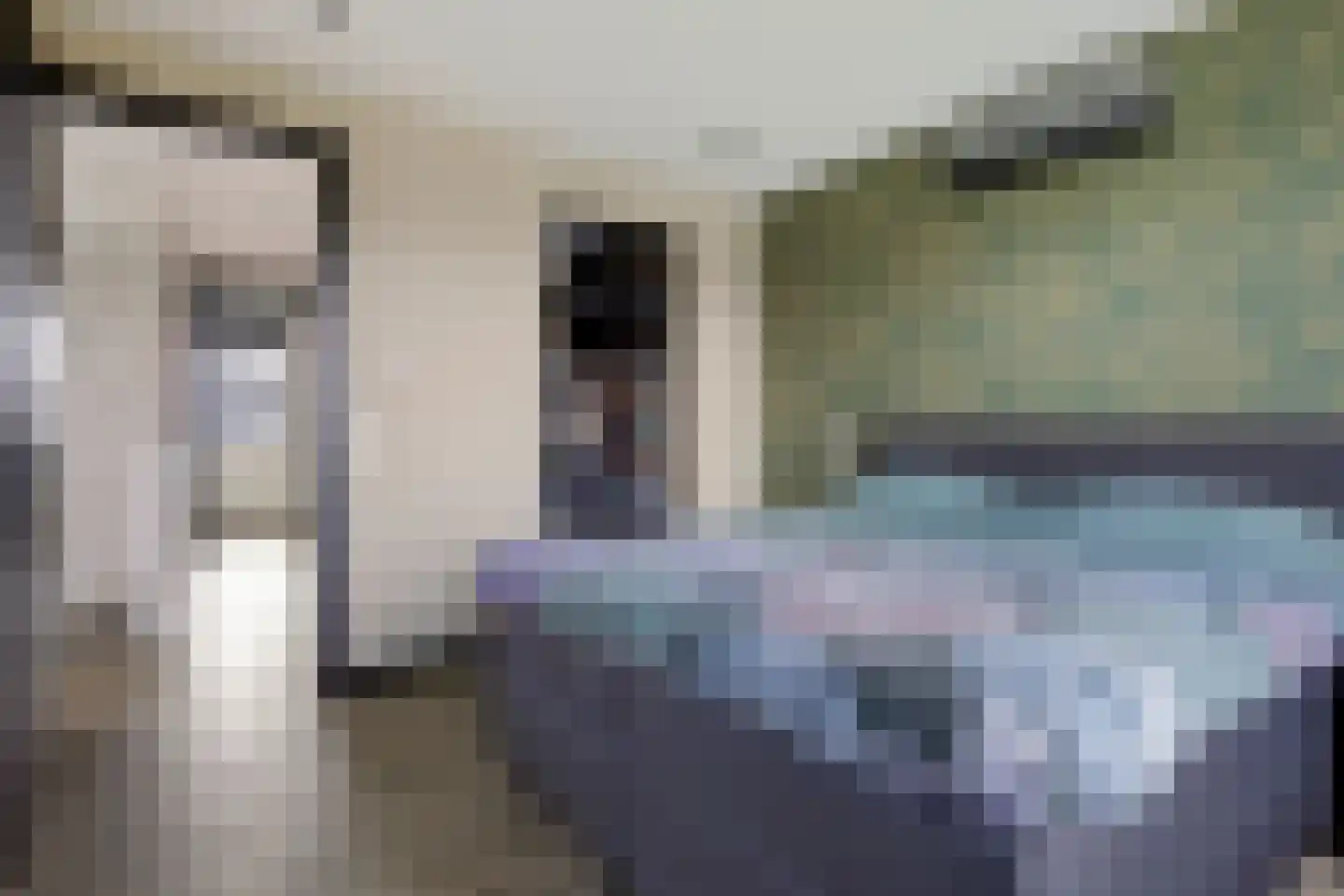 Hazeweel 12 Zwaag thumbnail 21