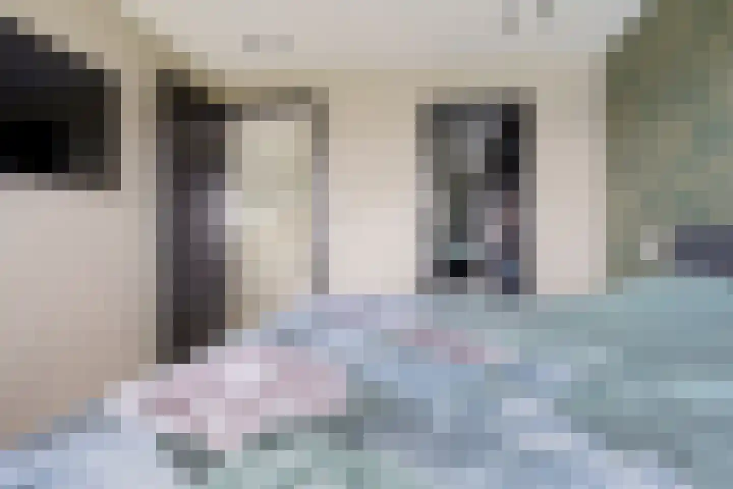 Hazeweel 12 Zwaag thumbnail 22