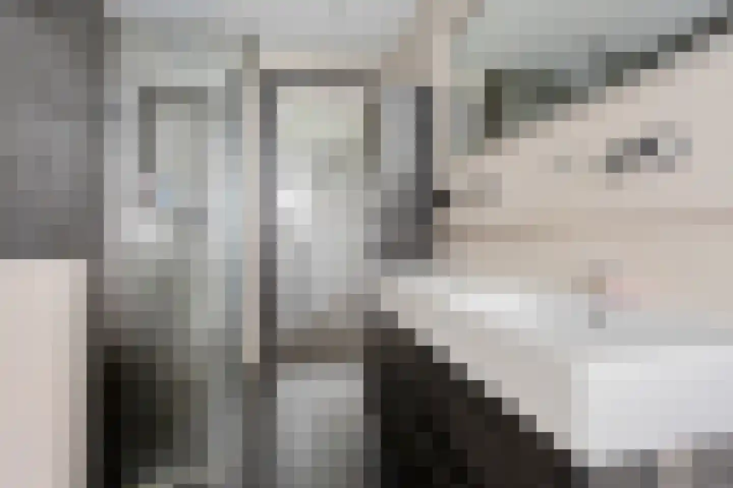 Hazeweel 12 Zwaag thumbnail 23