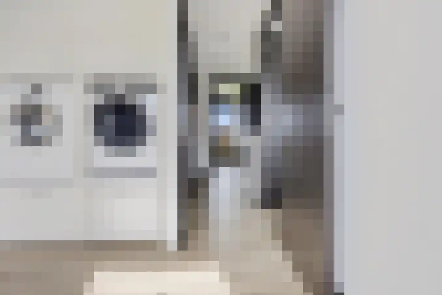 Hazeweel 12 Zwaag thumbnail 26