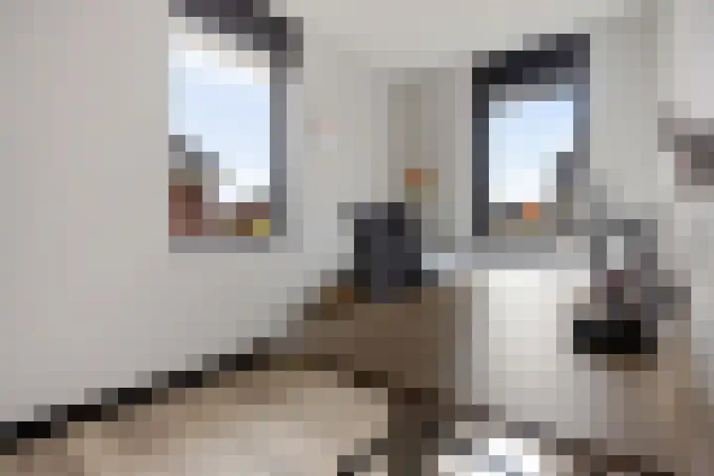 Hazeweel 12 Zwaag thumbnail 27