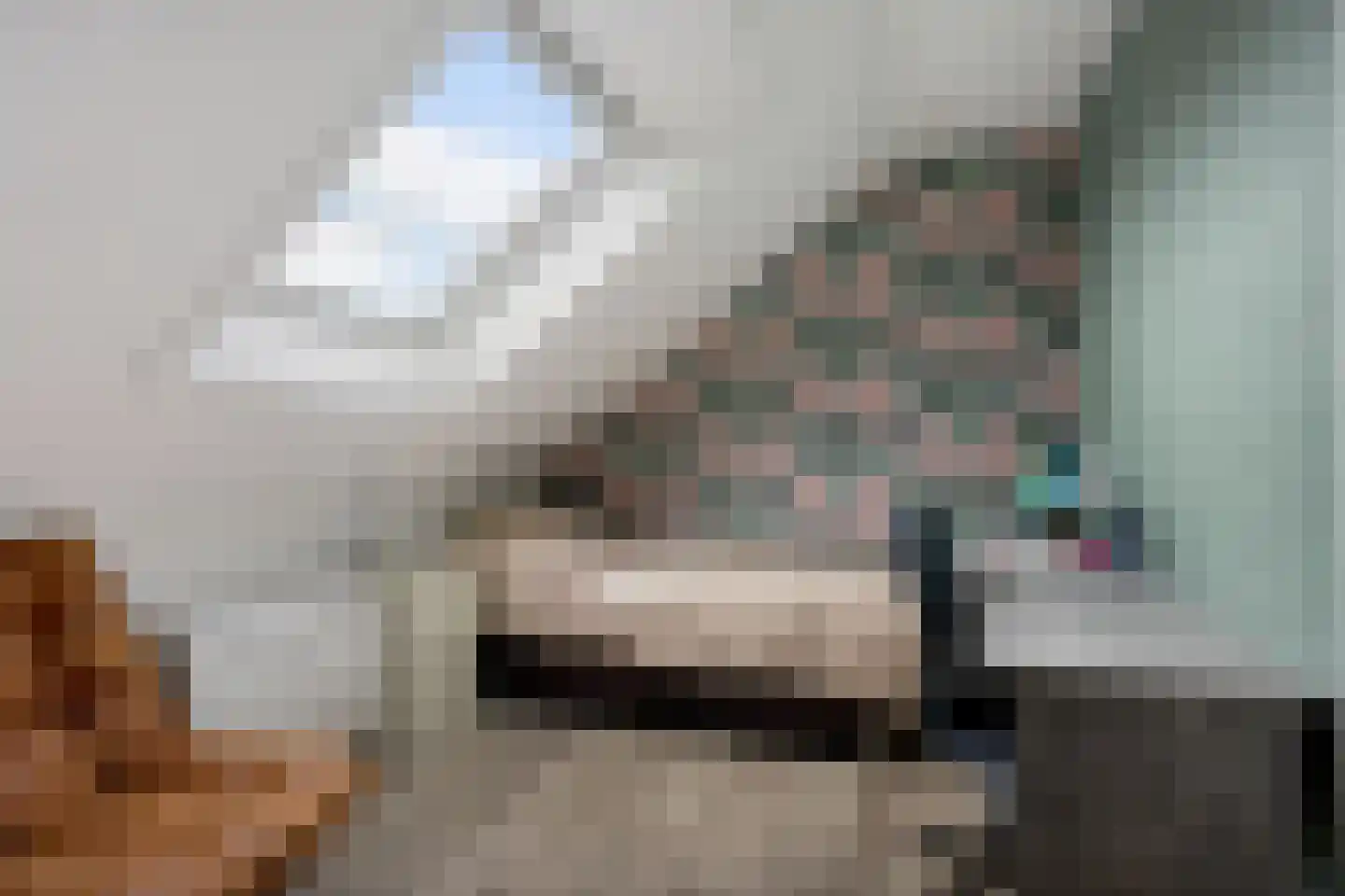 Hazeweel 12 Zwaag thumbnail 32