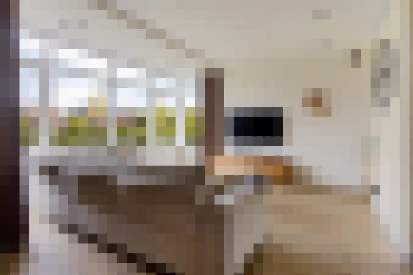 Hazeweel 12 Zwaag thumbnail 7