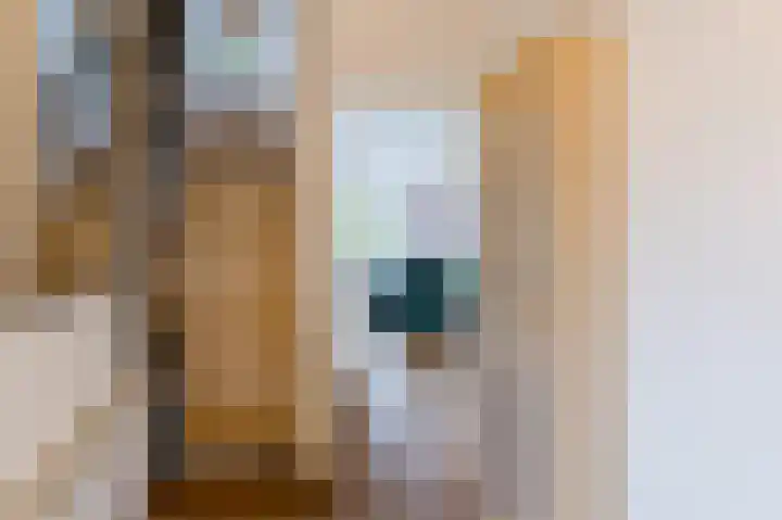 Hazeweide 5 Nieuwegein thumbnail 13