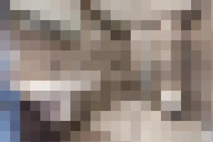 Hazeweide 5 Nieuwegein thumbnail 21
