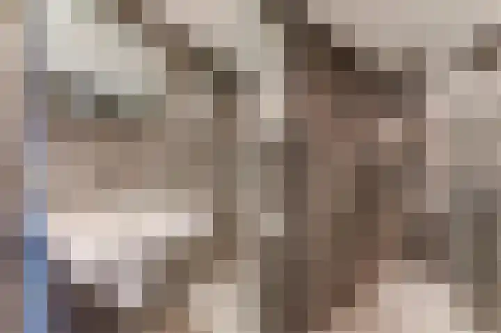 Hazeweide 5 Nieuwegein thumbnail 24