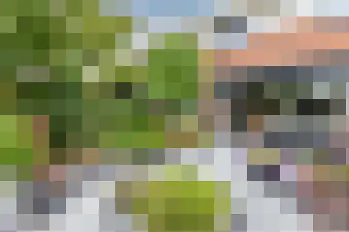 Hazeweide 5 Nieuwegein thumbnail 38