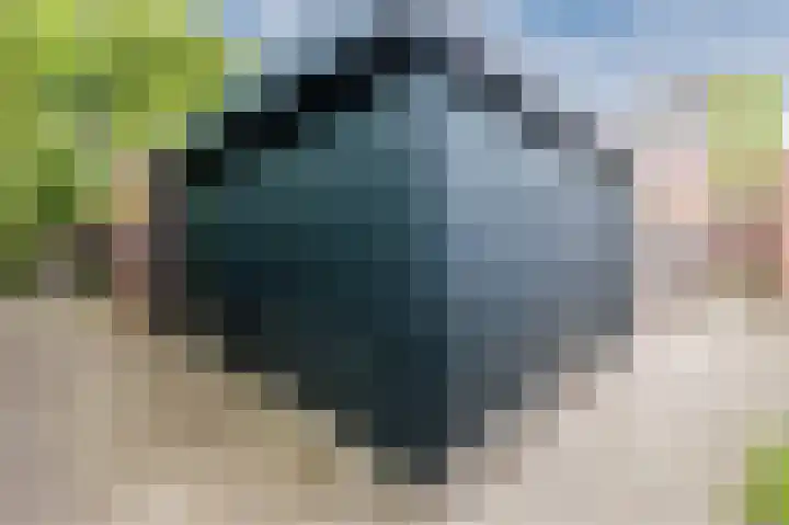 Hazeweide 5 Nieuwegein thumbnail 51