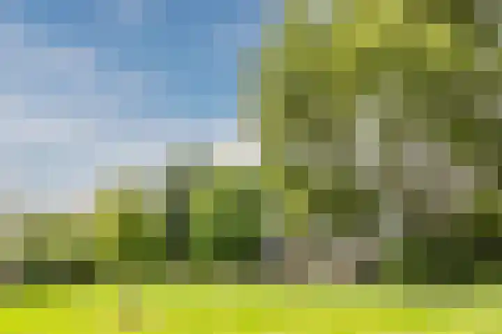 Hazeweide 5 Nieuwegein thumbnail 56