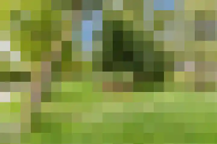 Hazeweide 5 Nieuwegein thumbnail 57